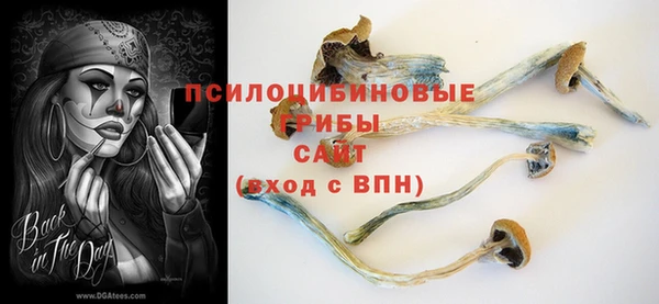 спиды Алексин