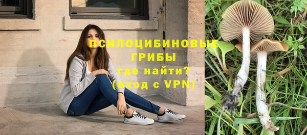 спиды Алексин