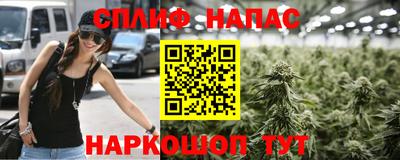 стафф Новозыбков