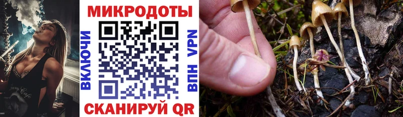 Псилоцибиновые грибы Psilocybine cubensis Чебоксары
