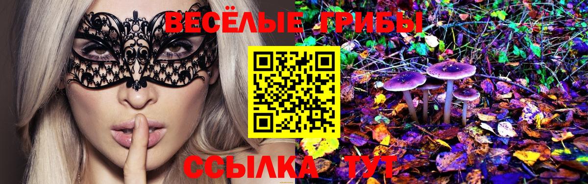 Псилоцибиновые грибы GOLDEN TEACHER Чебоксары