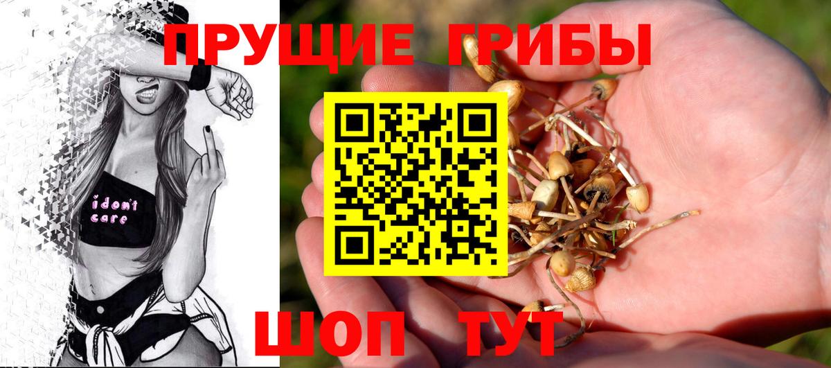 Чебоксары  Галлюциногенные грибы Psilocybe  Вход с VPN 
