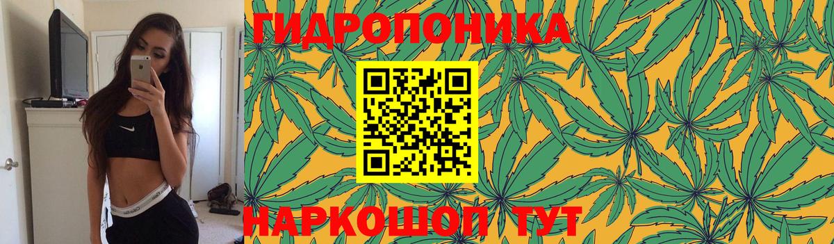 Марихуана SATIVA & INDICA  Марихуана White Widow  Вход с VPN  Марихуана SATIVA & INDICA  Бошки марихуана Bruce Banner  Чебоксары 